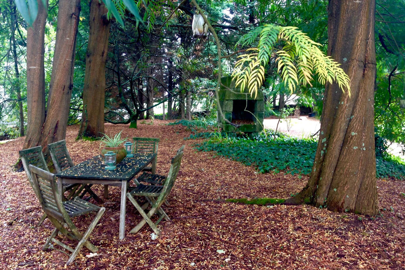 Foto Jardín Botánico 6